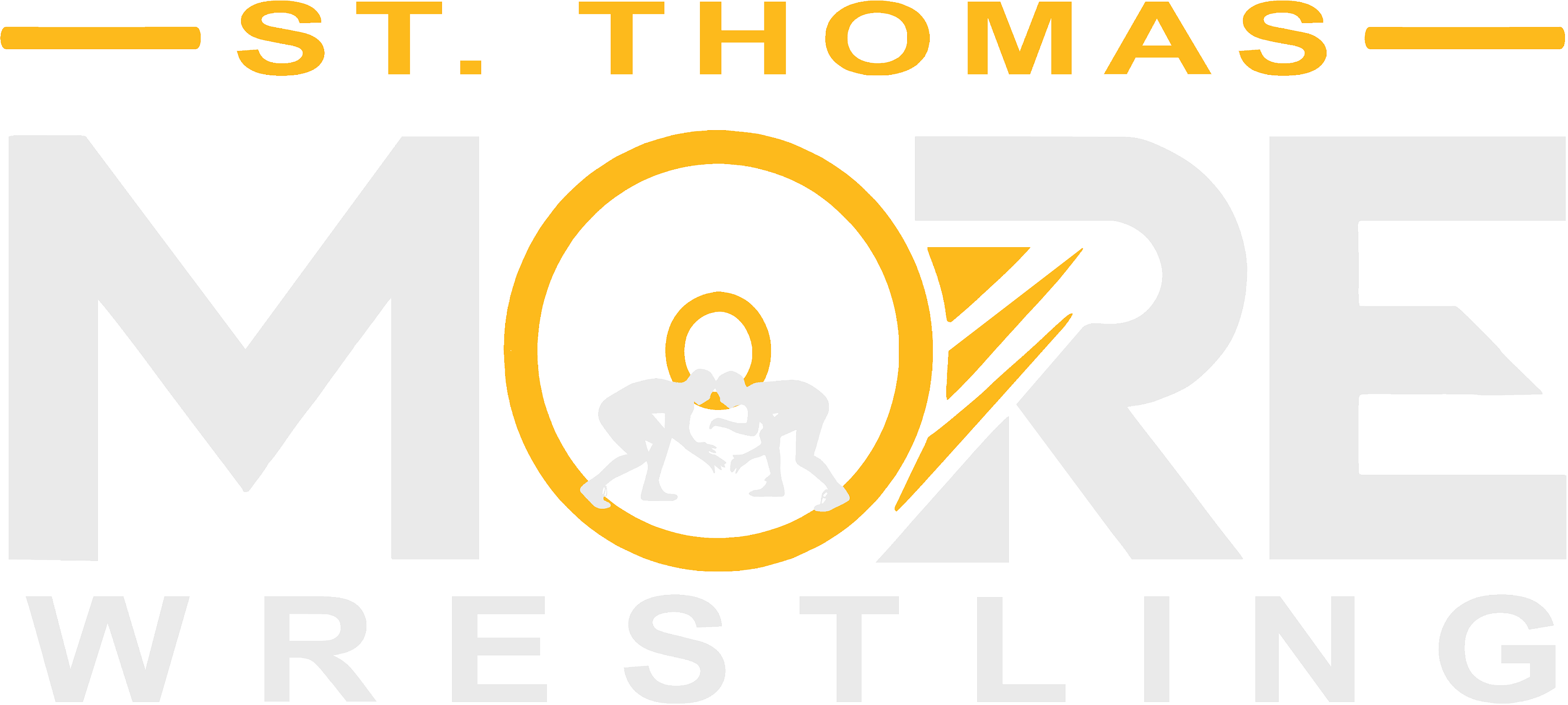 STM logo