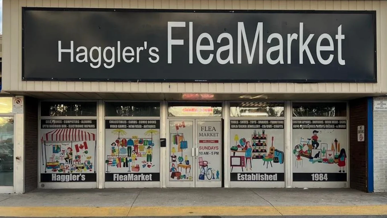 Storefront window graphics